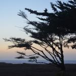 CambriaCN_185 (October 25, 2014)